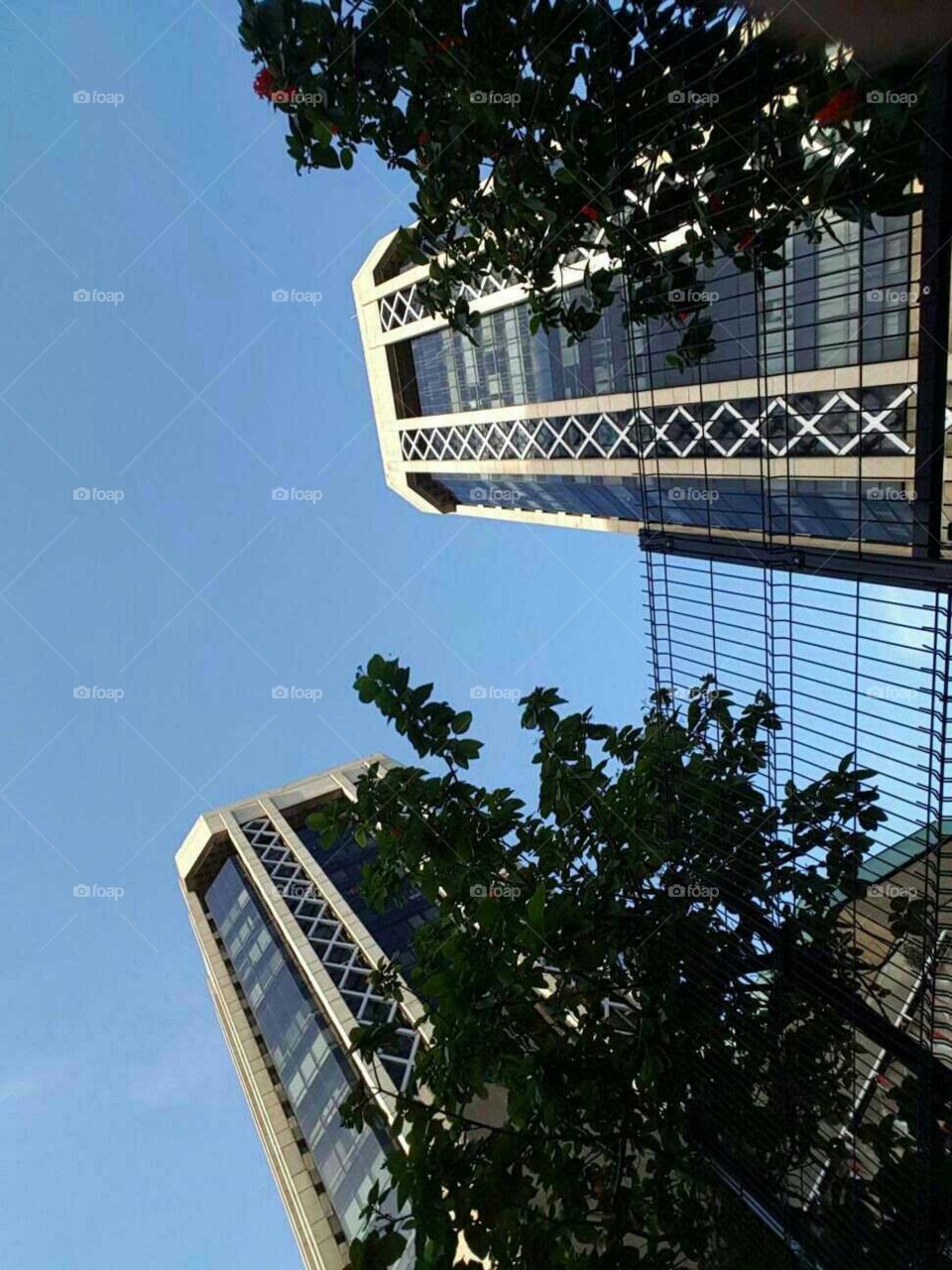 Port of Spain, Trinidad