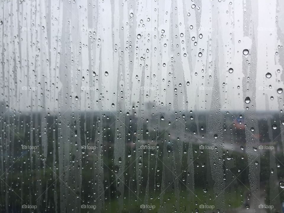 Curtains of Rain 