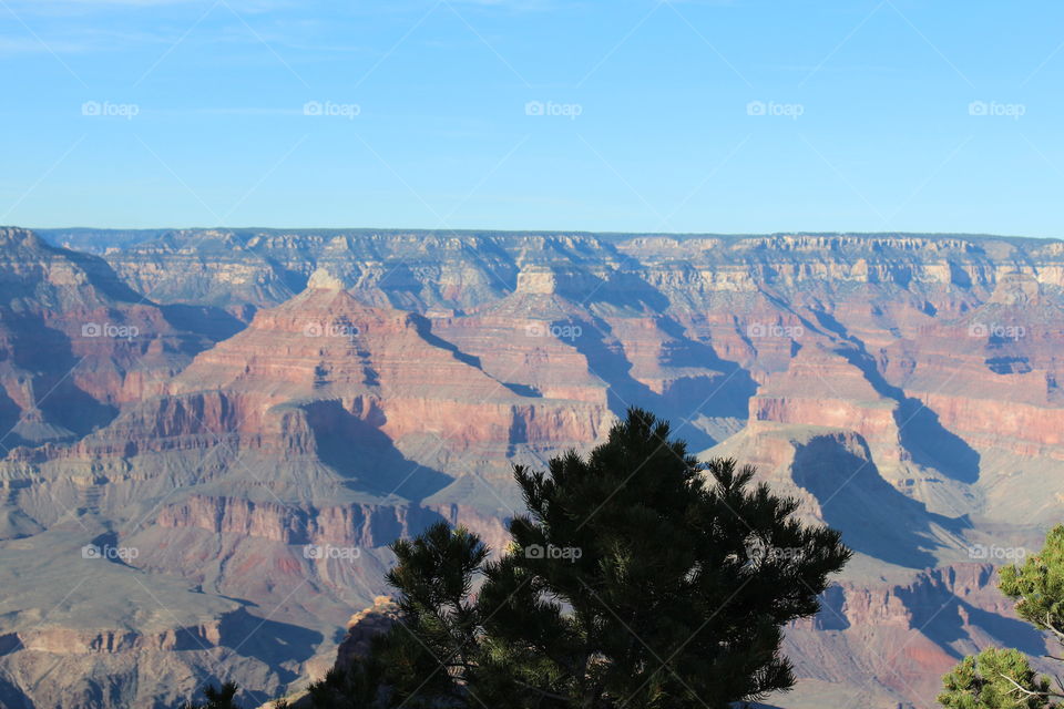 Grand Canyon View