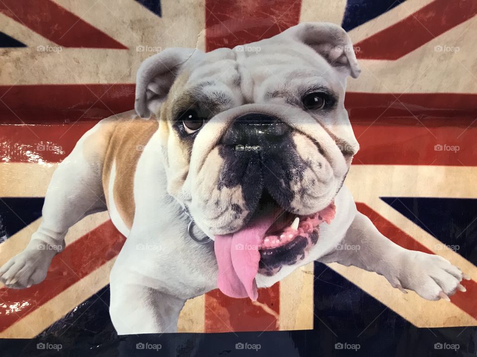 Love the dog on this patriotic UK Bag, the dog is definitely the best in show haha.