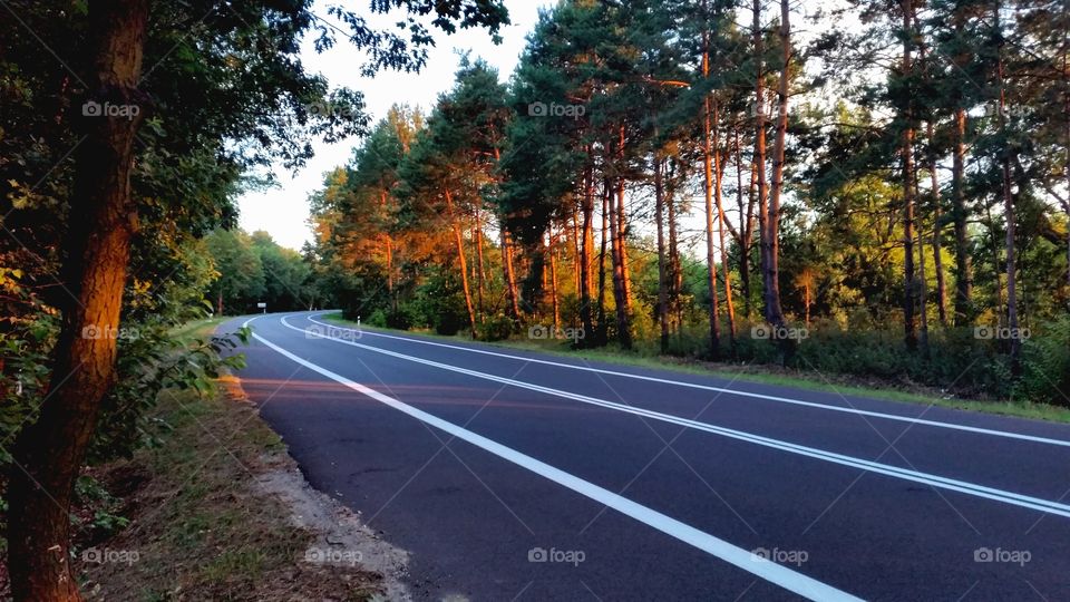 Amazing sunbeam on the road.