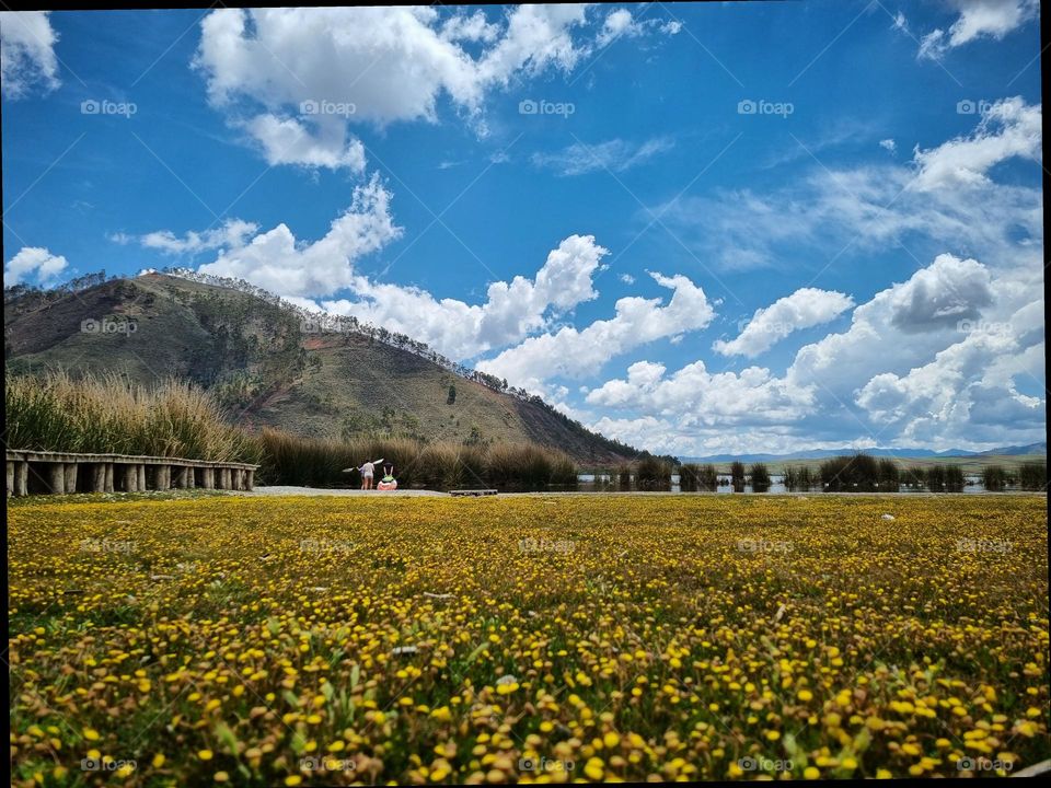 andean spring