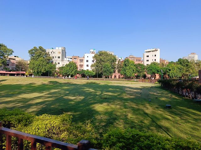 a beautiful day in the garden