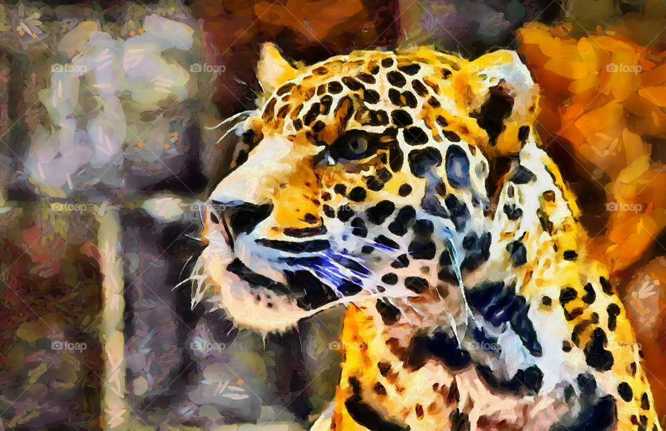 Digital painting of a vivid predator, preparing to pounce.