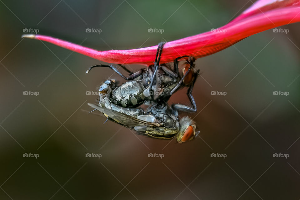 Love is not only limited to intimate relationships.