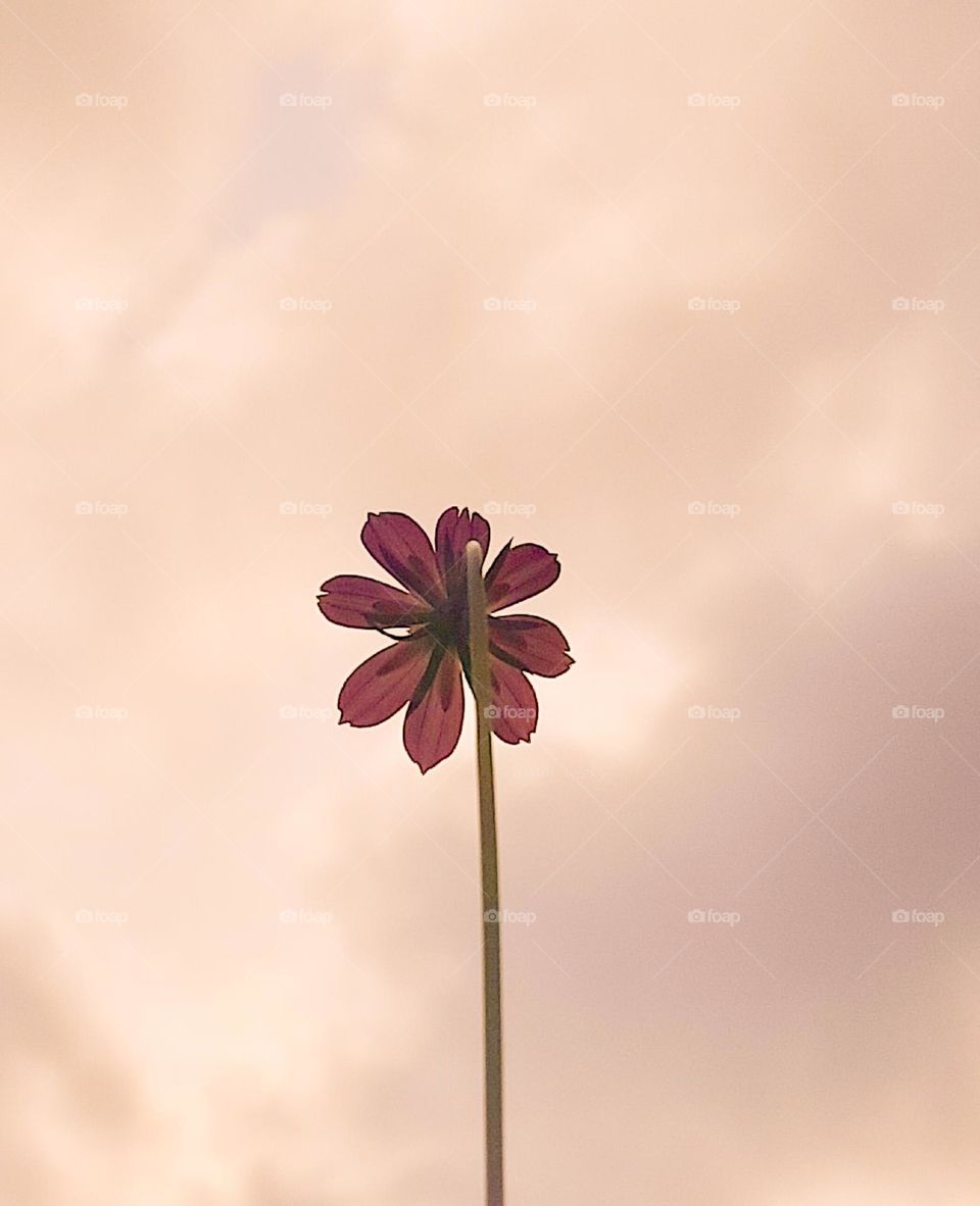 It's a different angle