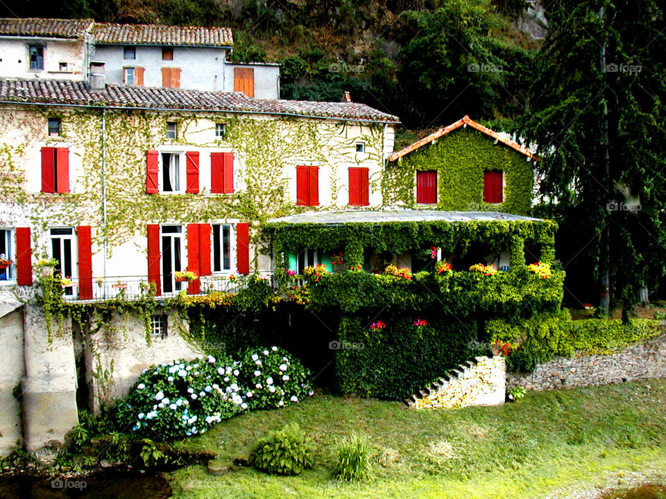 Ancient French home . And anxious and French home covered in ivy with red shutters