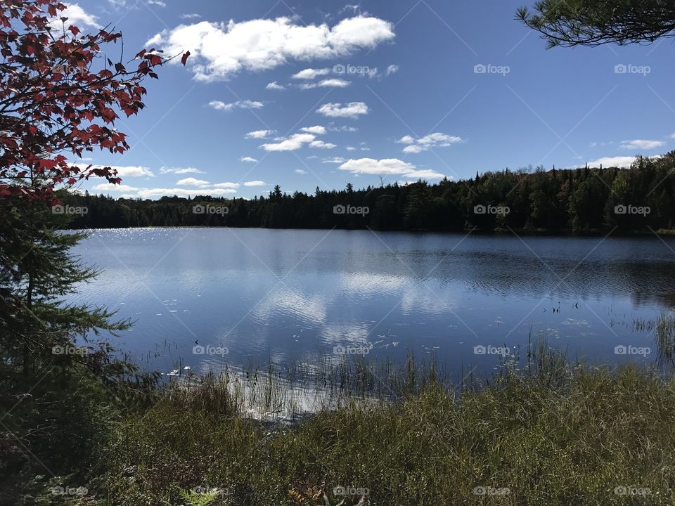 Peacefulness at the Lake 