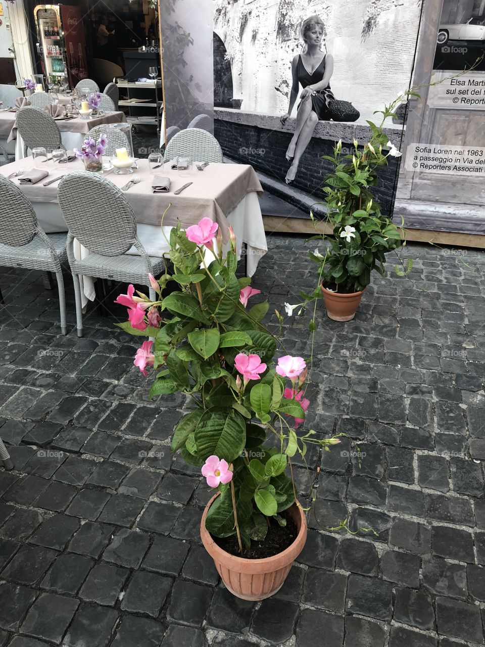 Flowers in a restaurant in rome