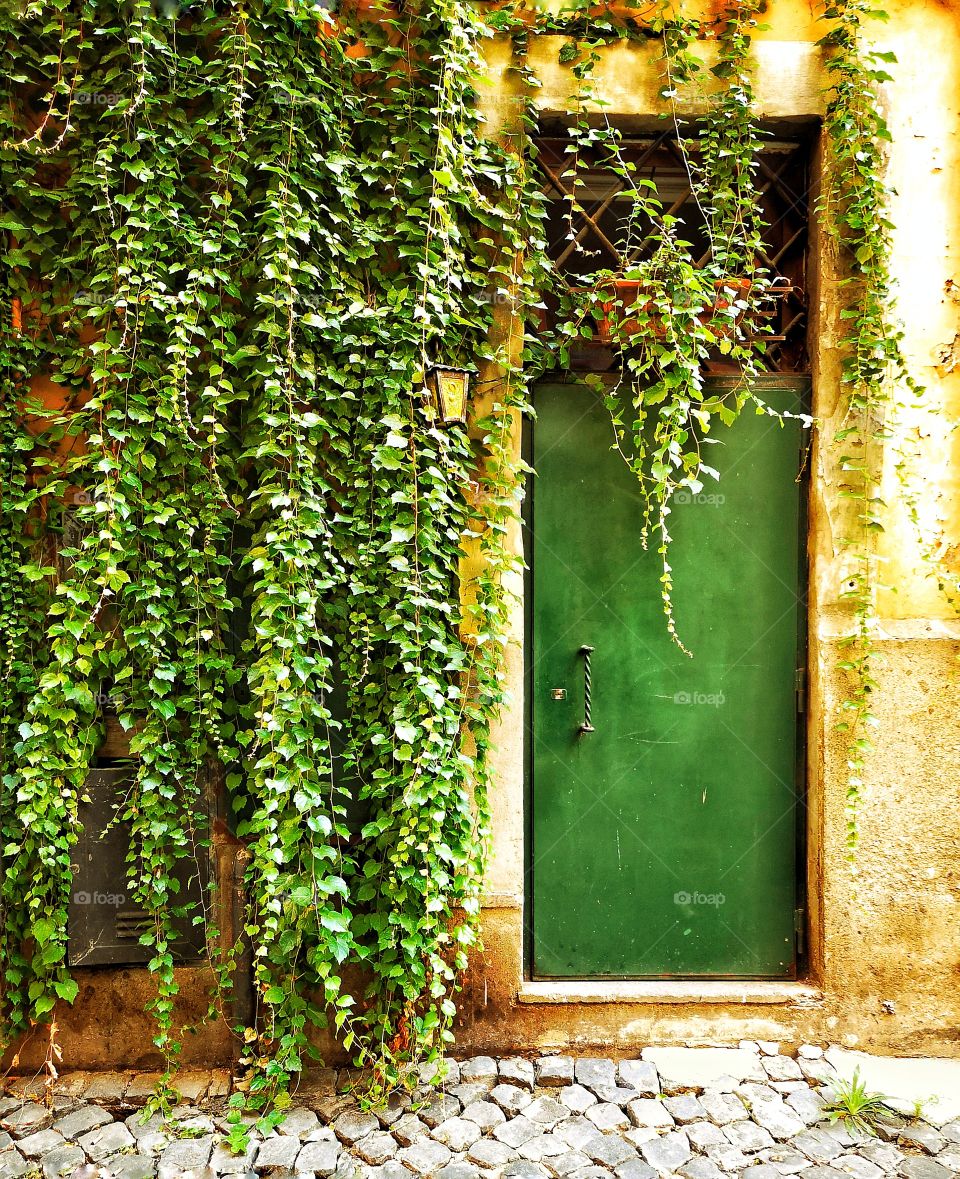 Green door in Rome