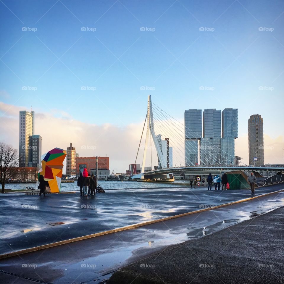 Streets of Rotterdam, Netherlands. 