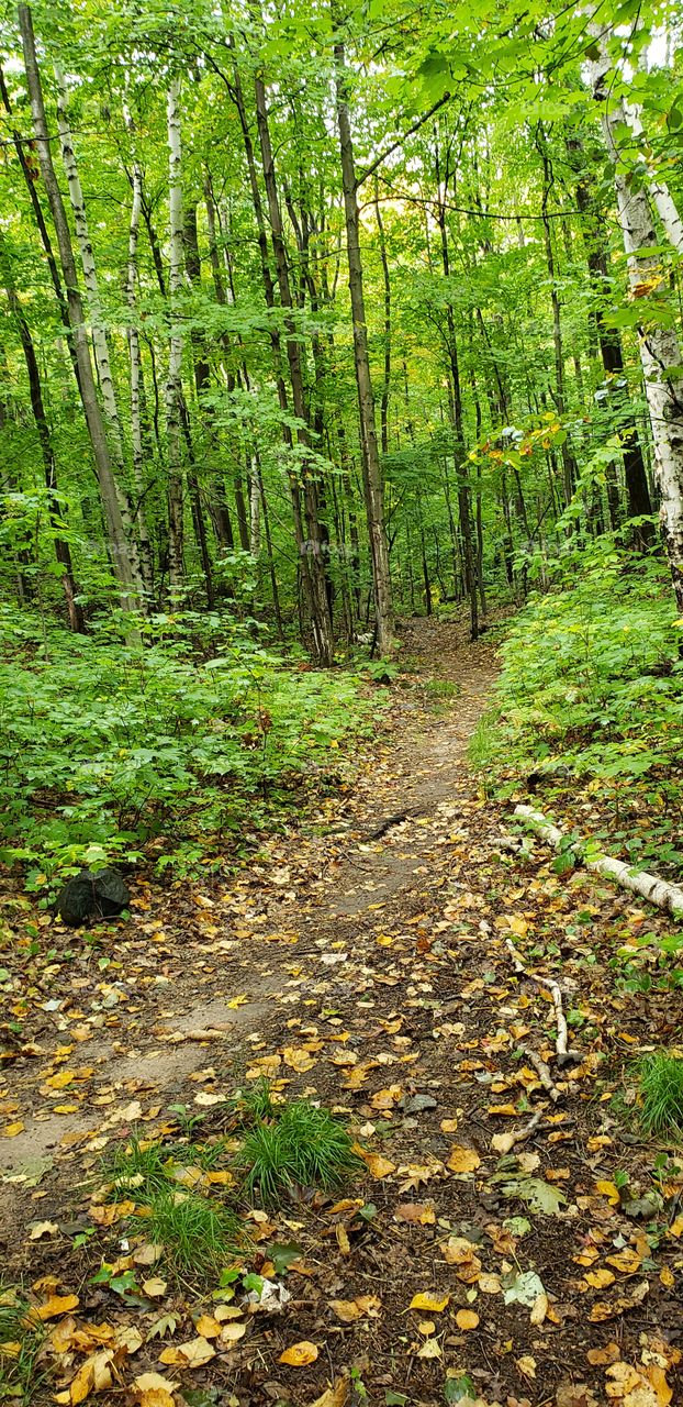 Walking in Marquette