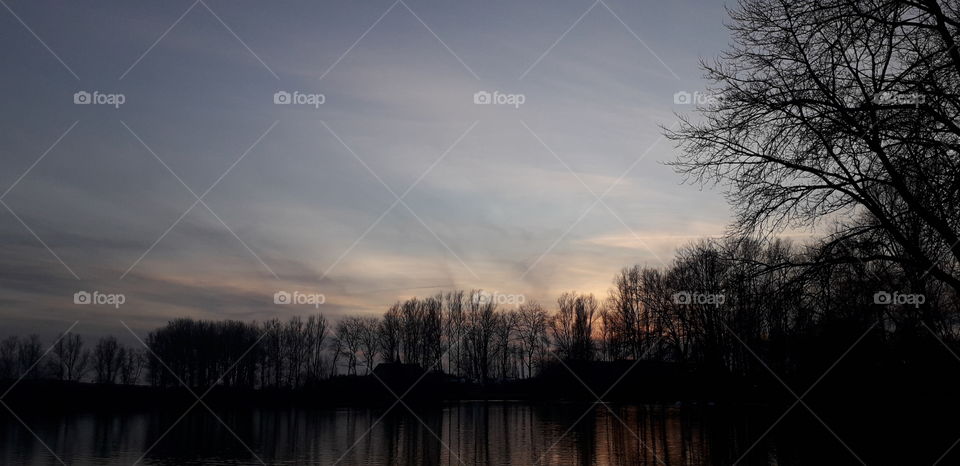 Dawn, Sunset, No Person, Winter, Tree