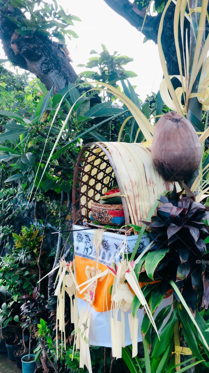 Happy Galungan day in Bali Indonesia 