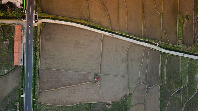 Bird view Industrial road in the middle of a lush rice fields