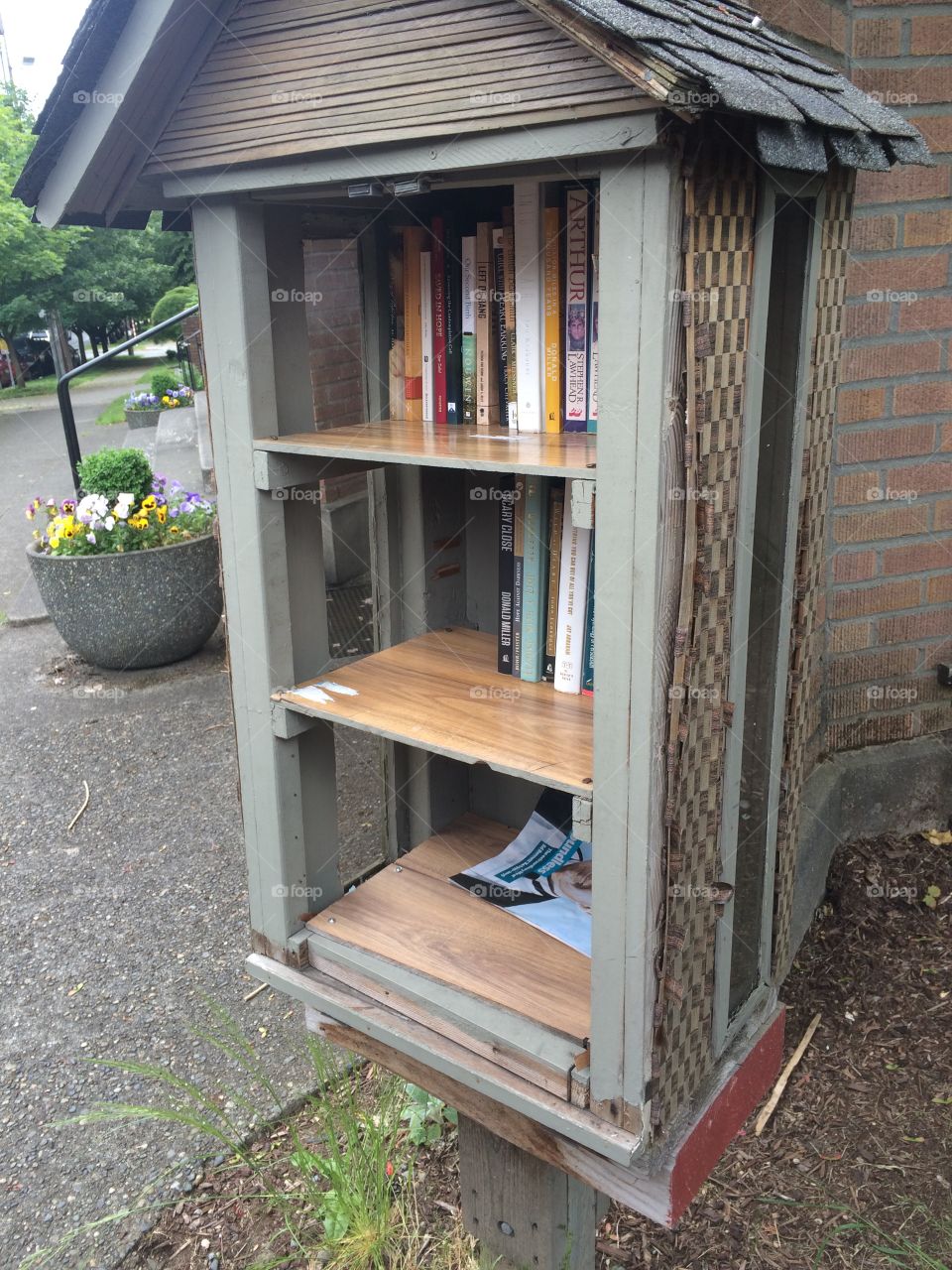 Rustic mini library on a Seattle street corner 