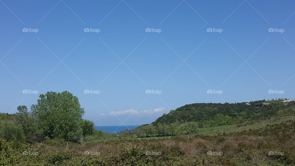 Natura Kepi Rodonit Albania