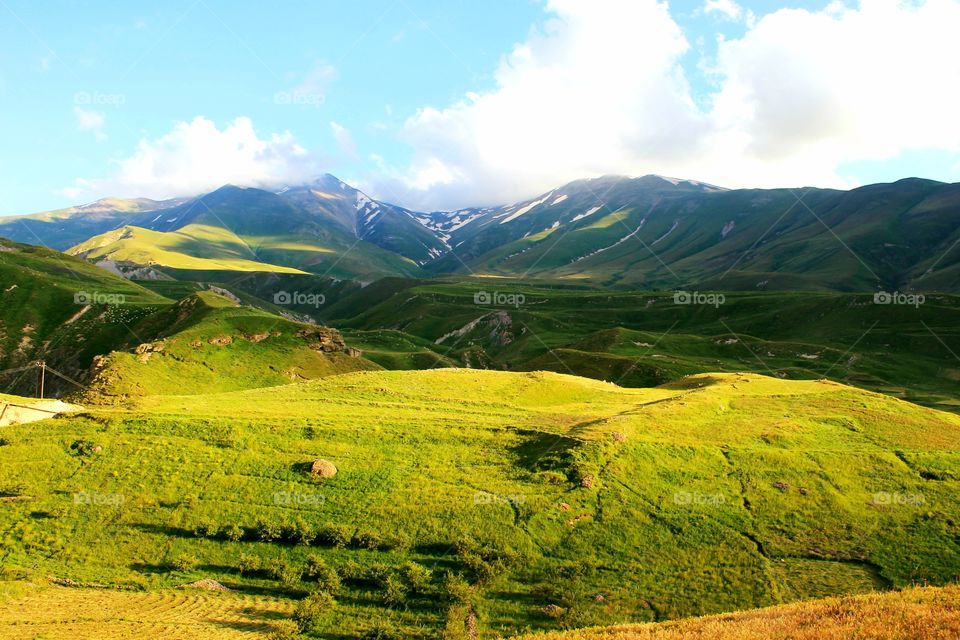 The nature of Ardabil