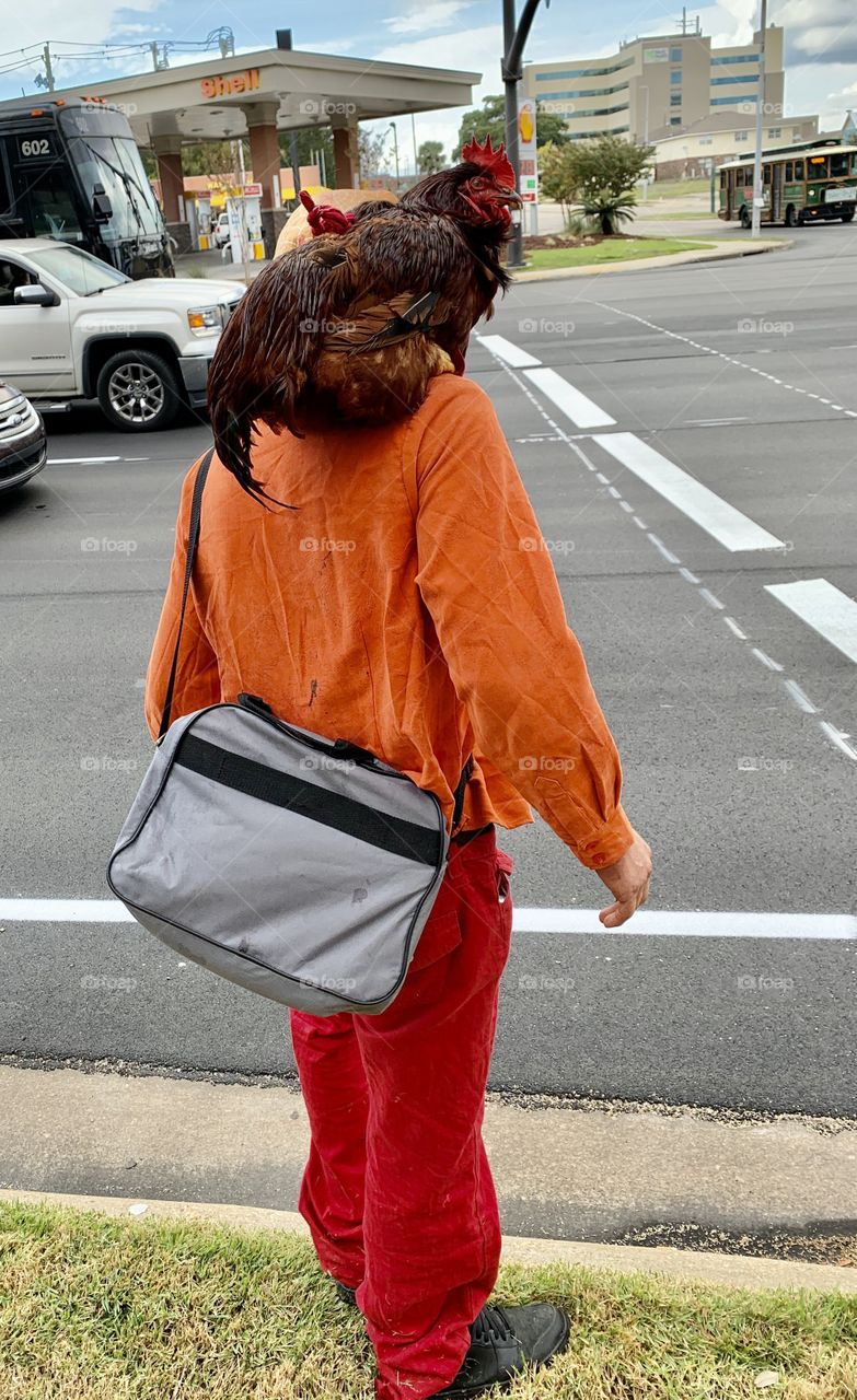 Wild Animals of The United States Foap Missions - A man walks downtown with a roster on his shoulder