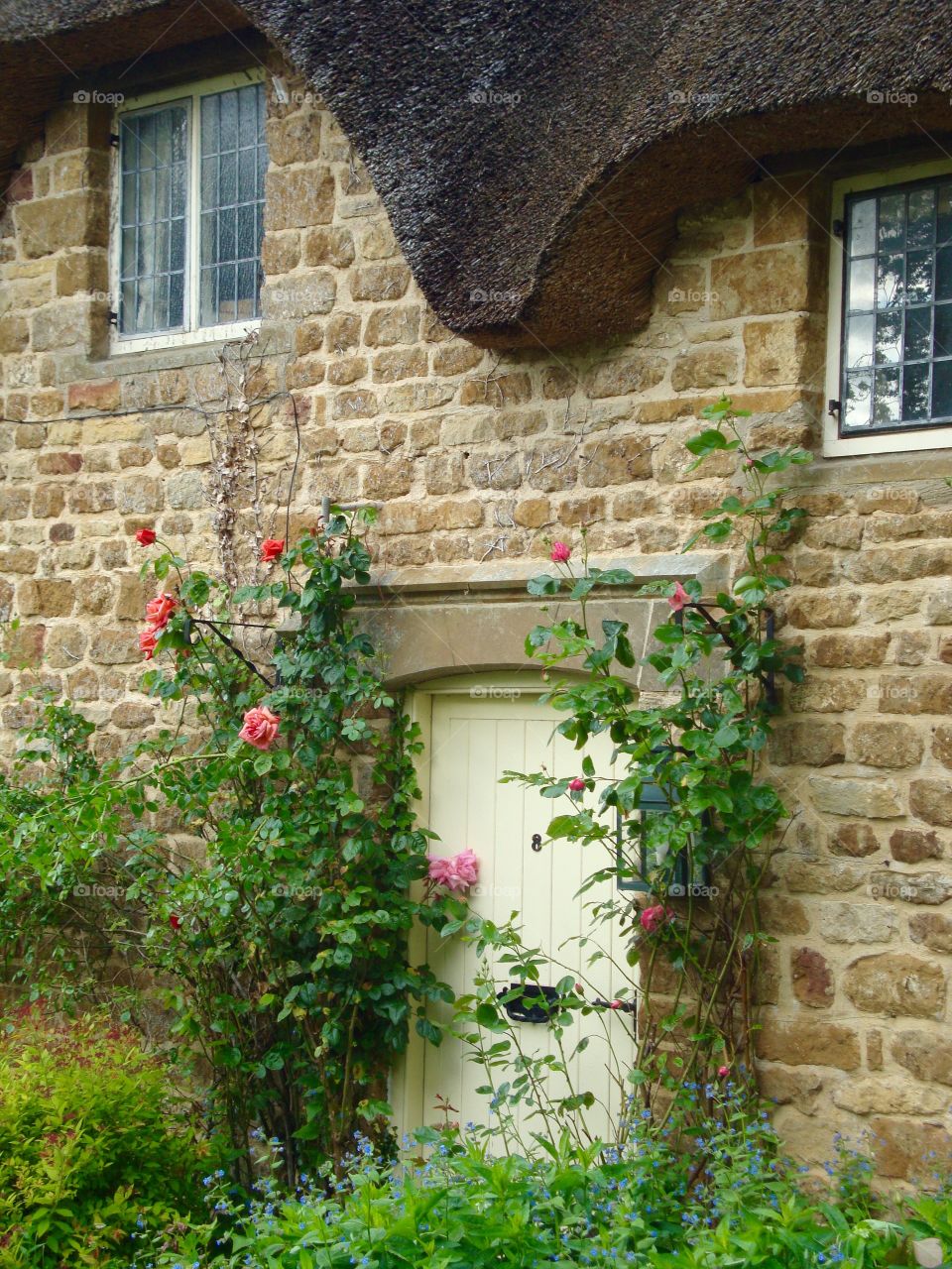 Idyllic Cottage