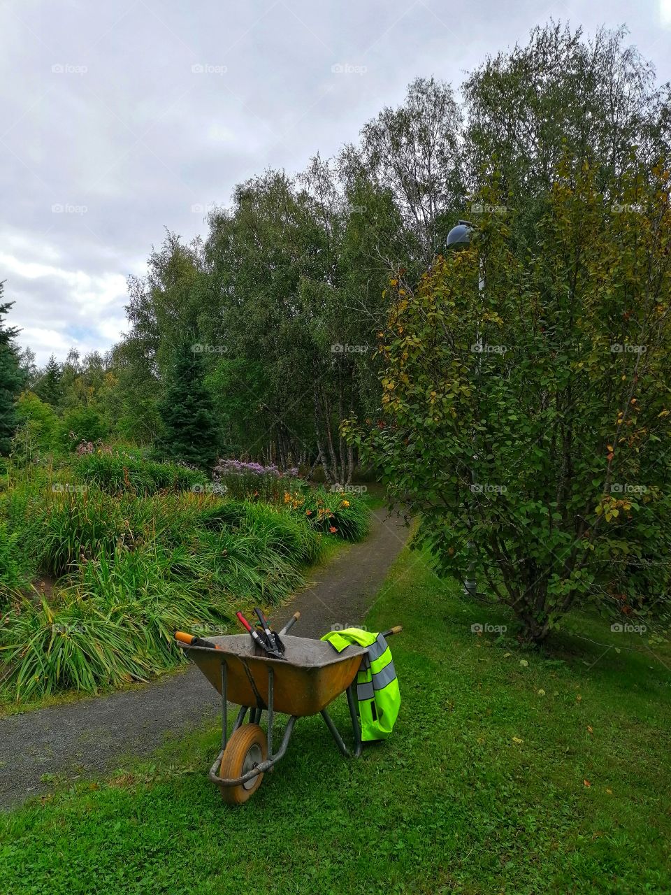 The Finnish garden needs a gardener in September. There are a lot of plants that need care for the winter.