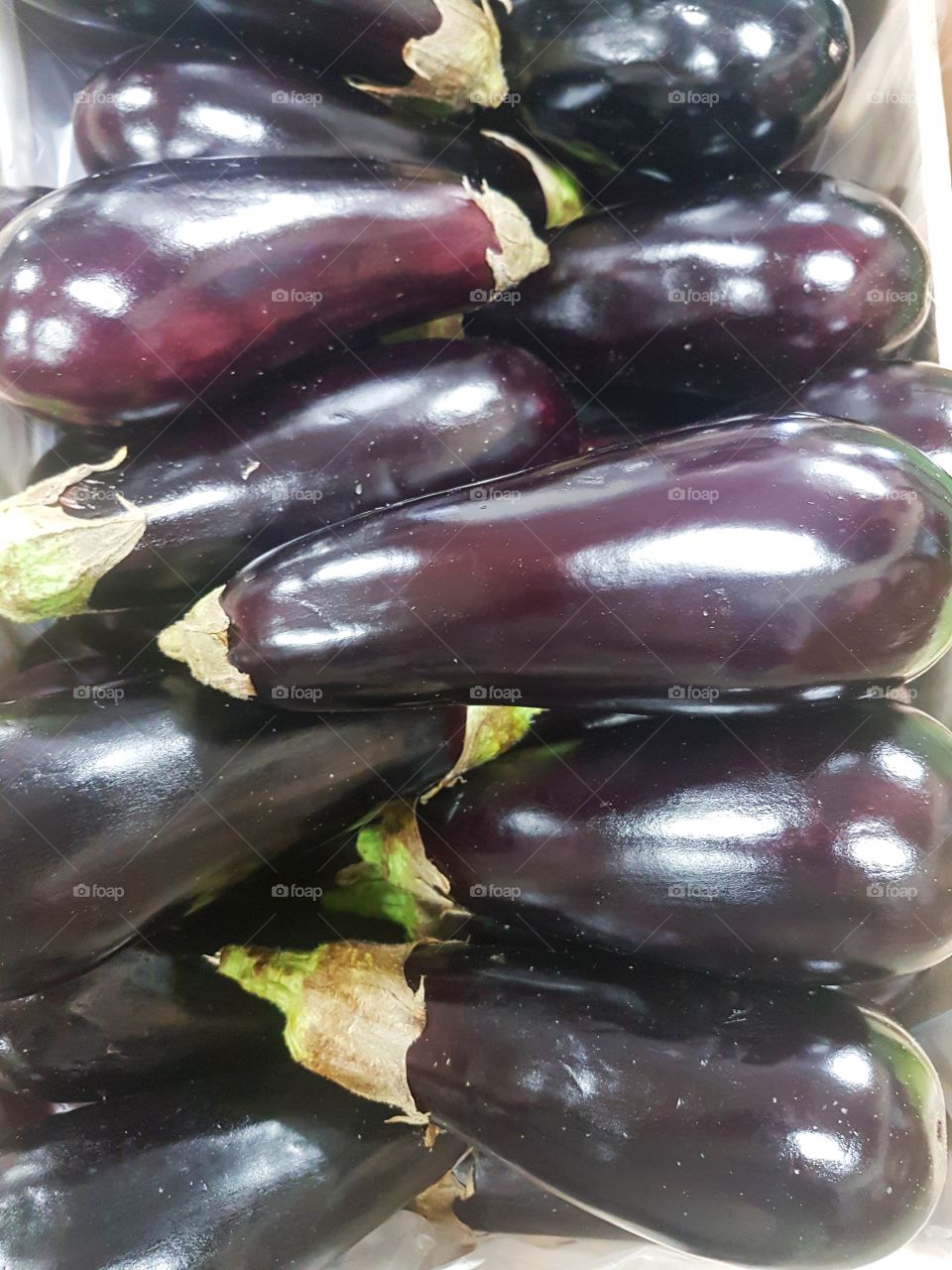 Fresh Egg Plant vegetable