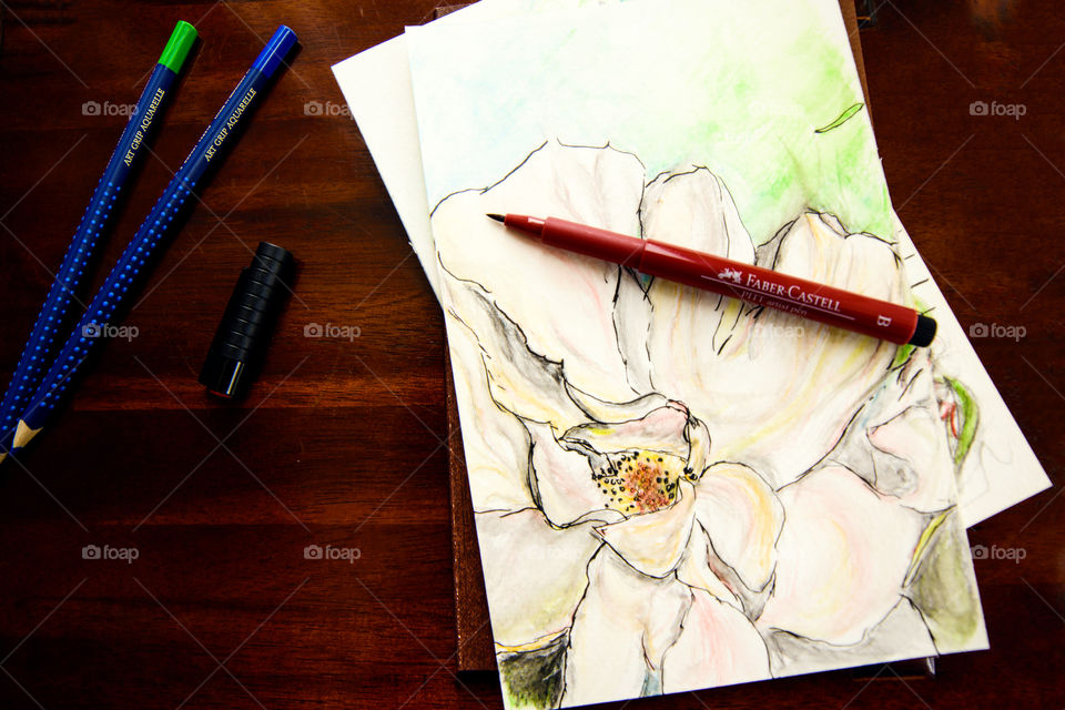 Flower head closeup sketch on desk Sketching with Faber-Castell PITT Artist pens and aquarelle pencils using watercolor techniques