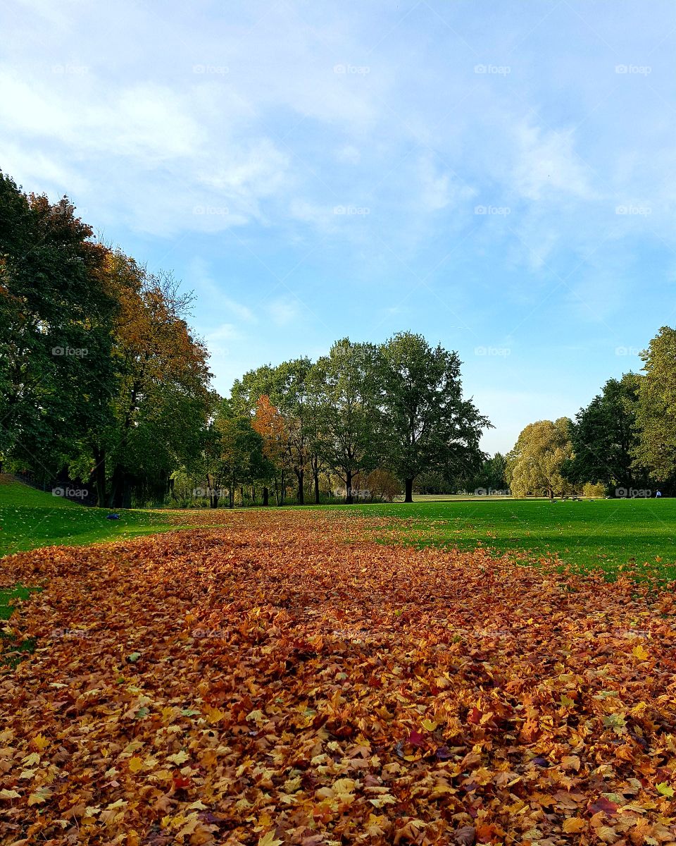 Herbst Teppich