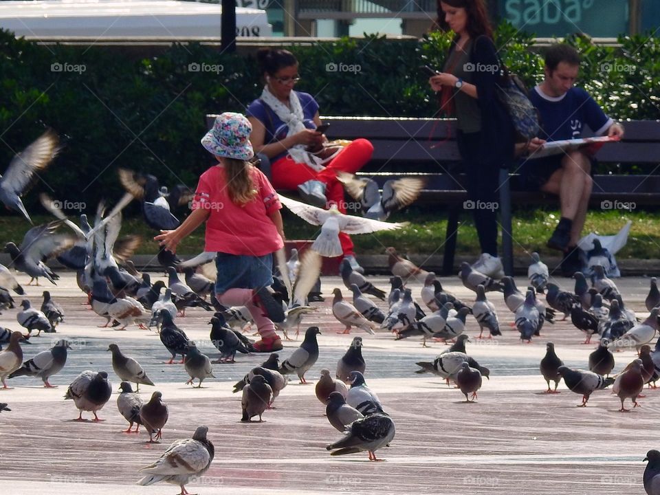 Playing with the doves