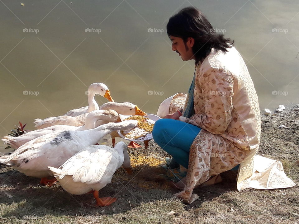 Young man feeding ducks at lakeshore