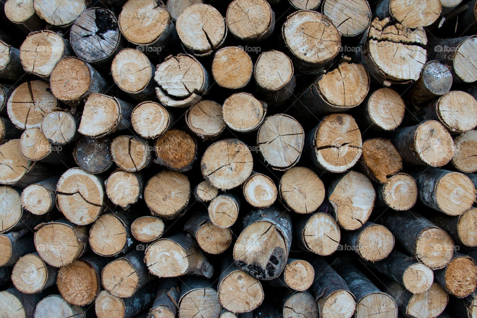 Firewood