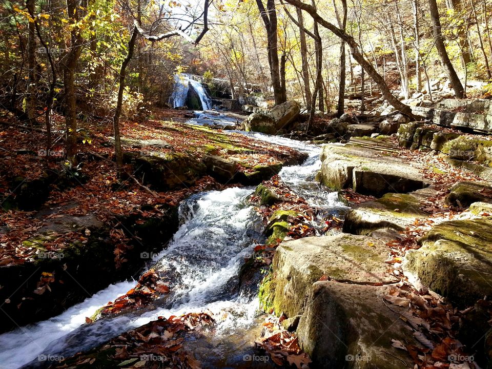 Hiking in southwestern Virginia