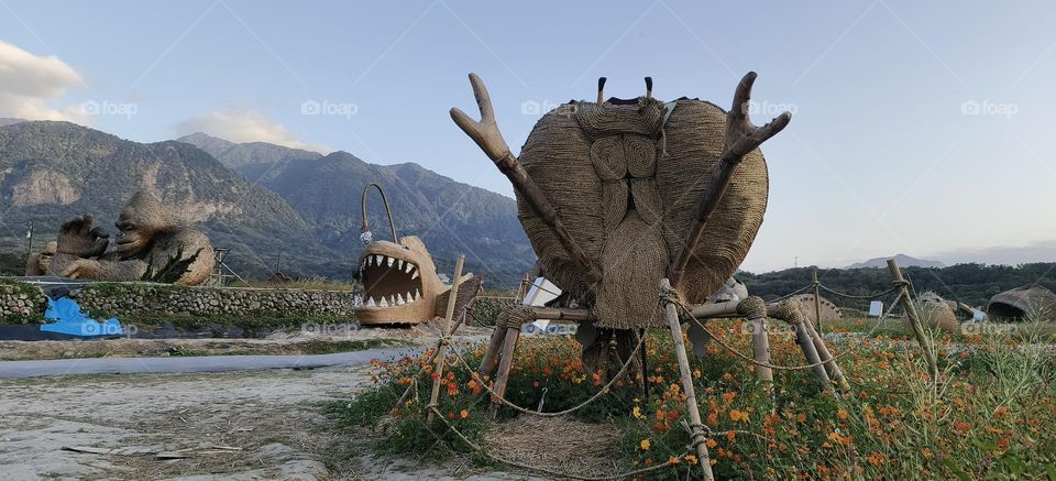 Straw crabs in the park