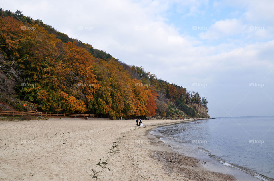 Autumn beach in Orlowo . Poland 