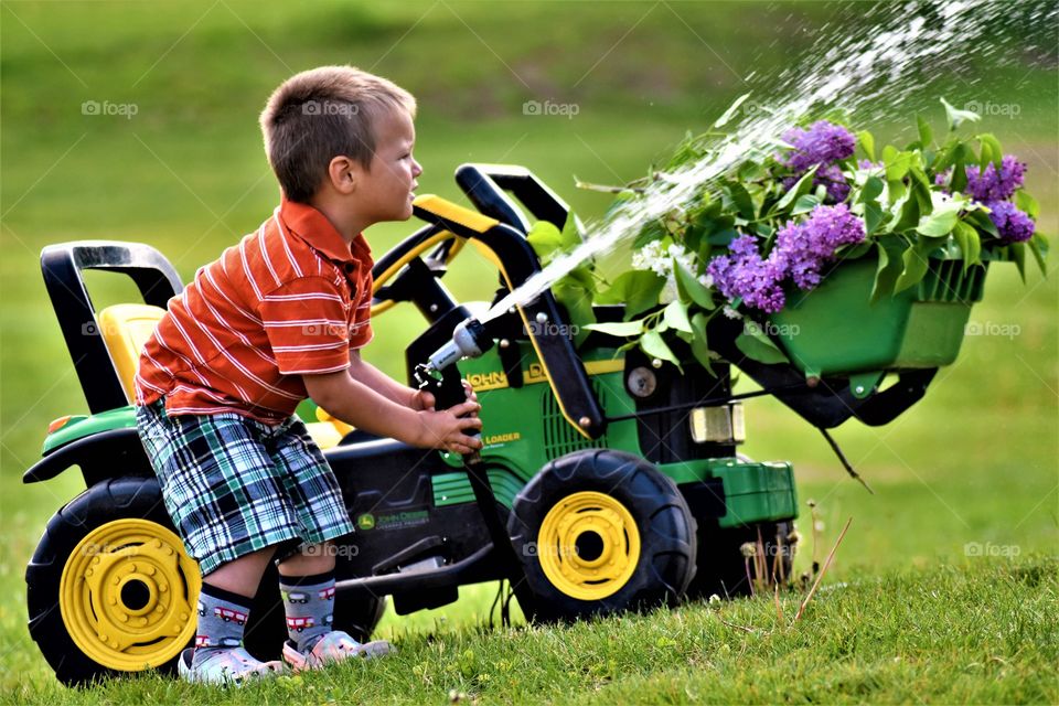 Child watering lilac flowers