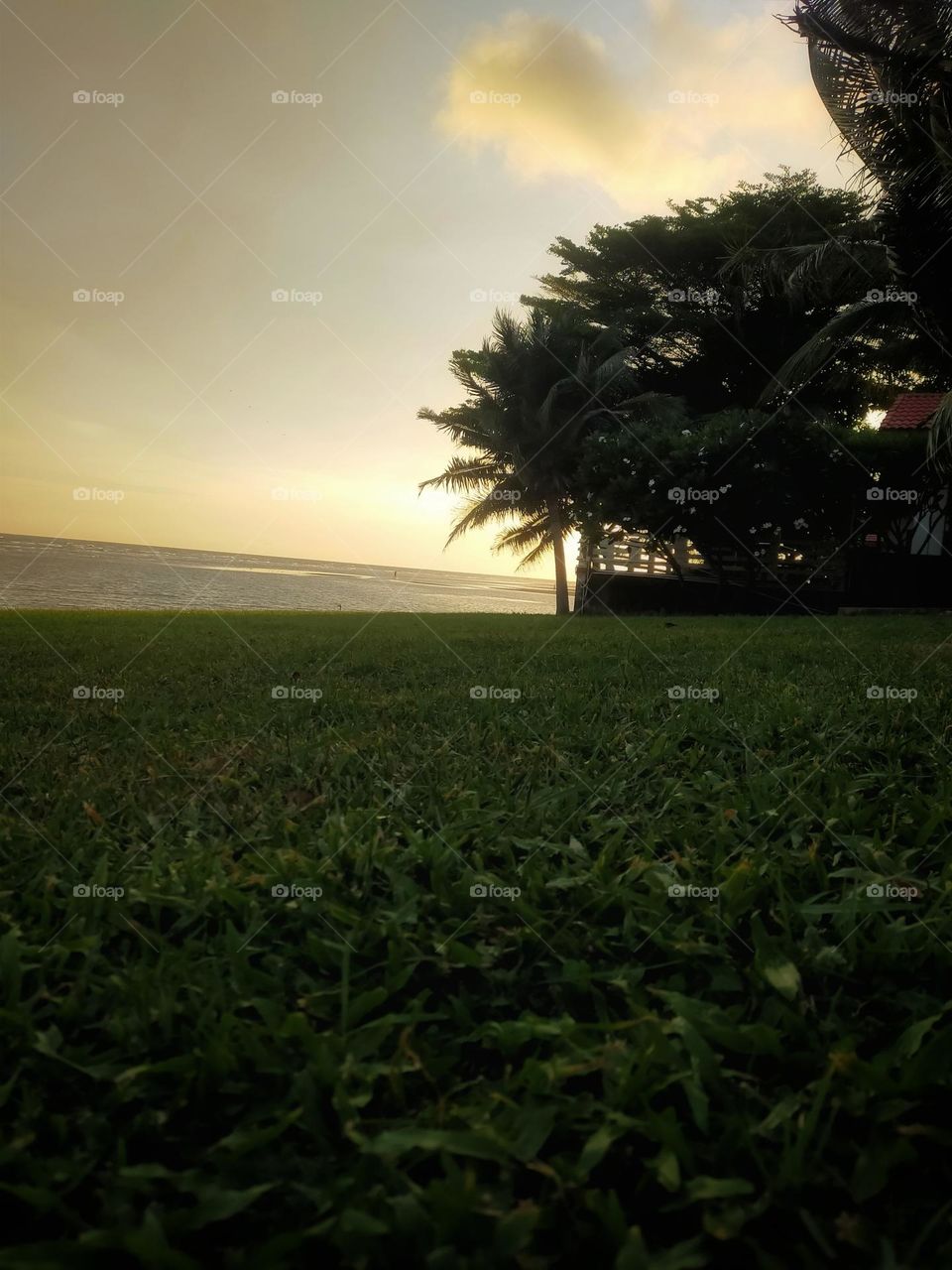 Sea view in the evening, seeing the sunlight