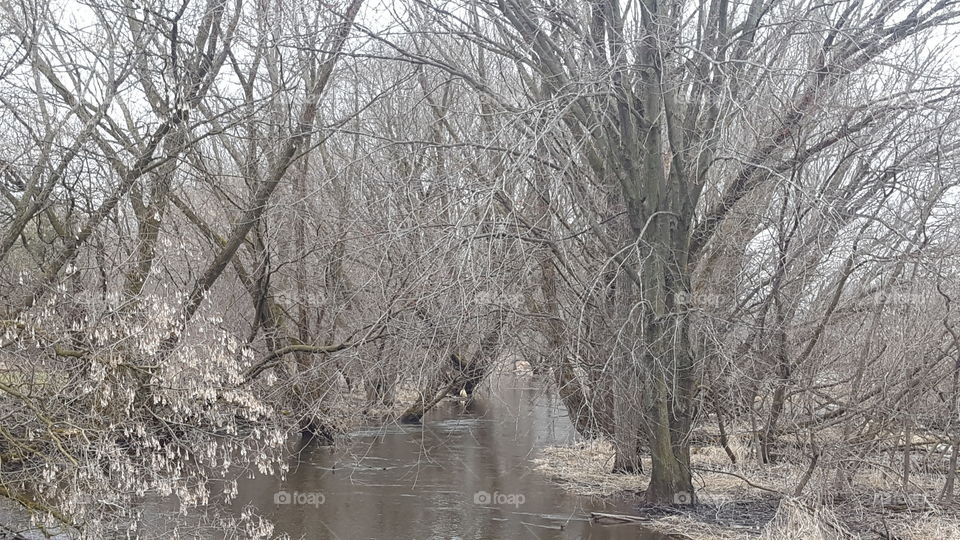 spring river