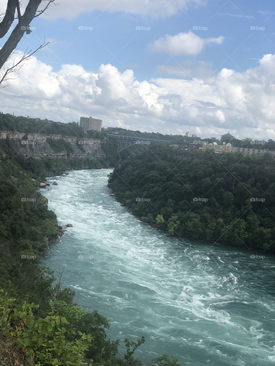 Niagara river