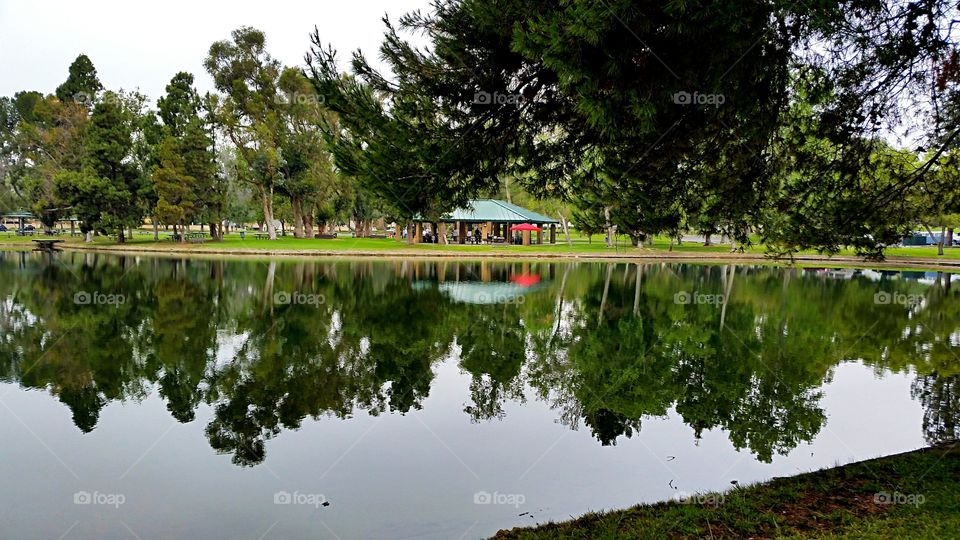 Picnic Area At The lake. Picnic shelters reflected in the water of the lake.