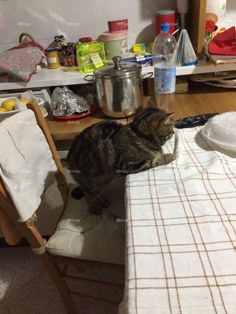 I’d like to eat with you