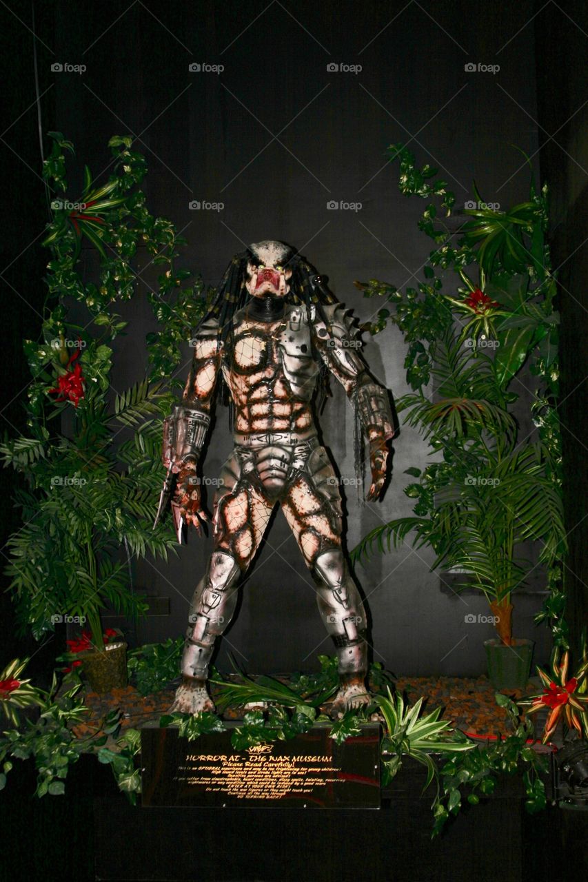 Predator waxwork 