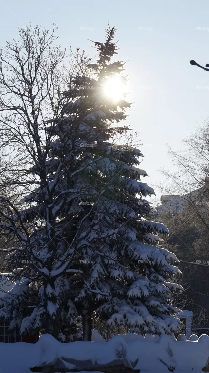 winter