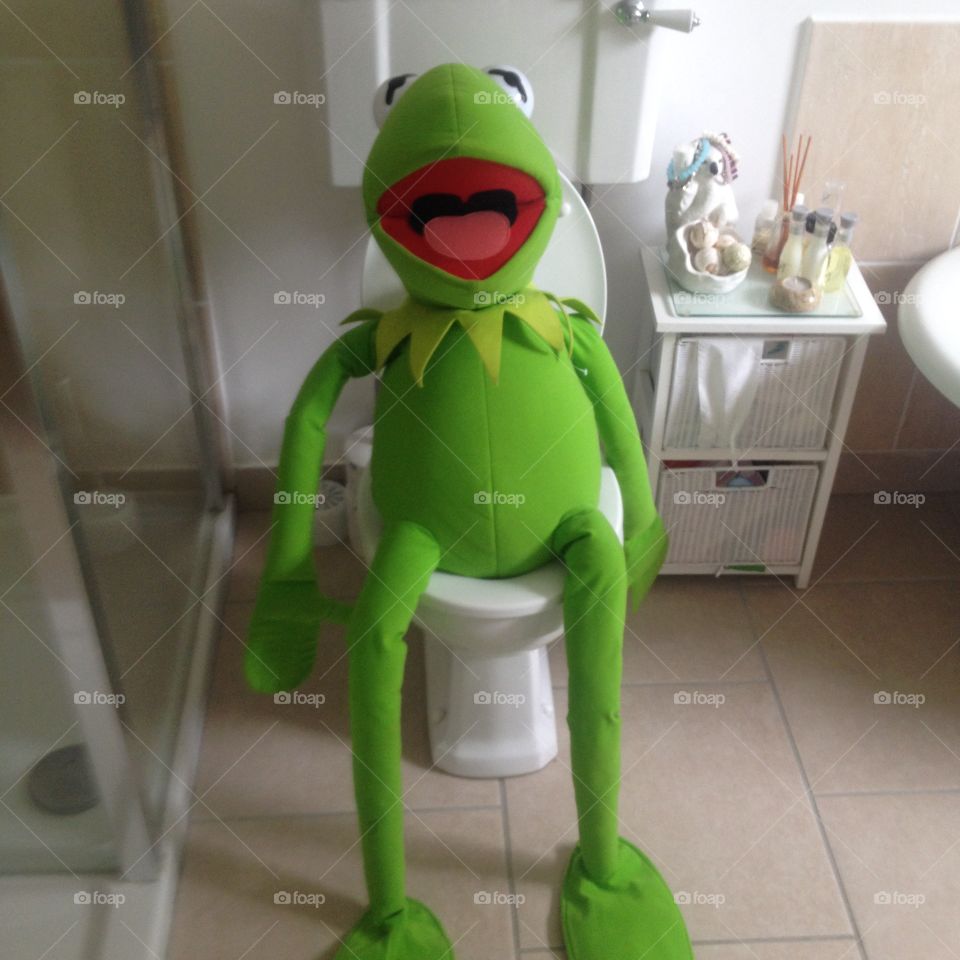 Kermit on the go!. Frog on a toilet