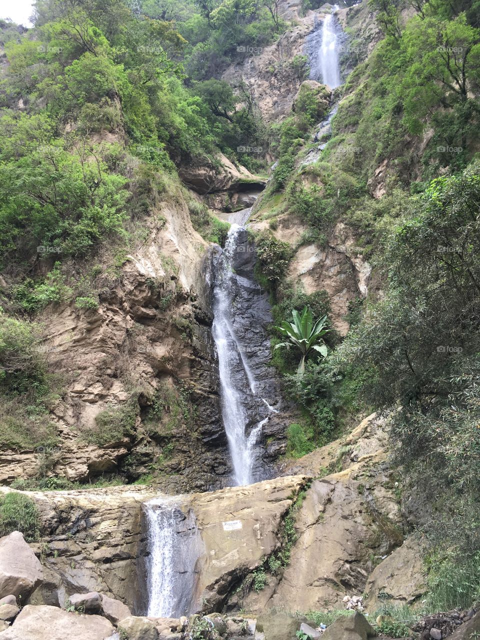 Nature, Water, Wood, Waterfall, Stream