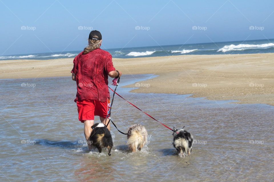 Man walking three dogs at the beach