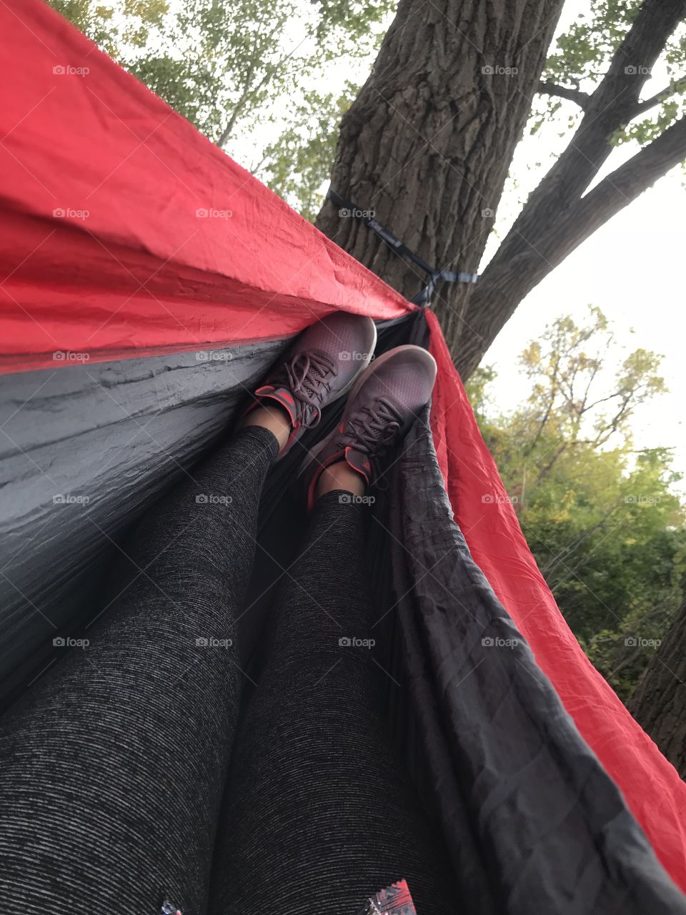 Hammocking in a peaceful forested spot