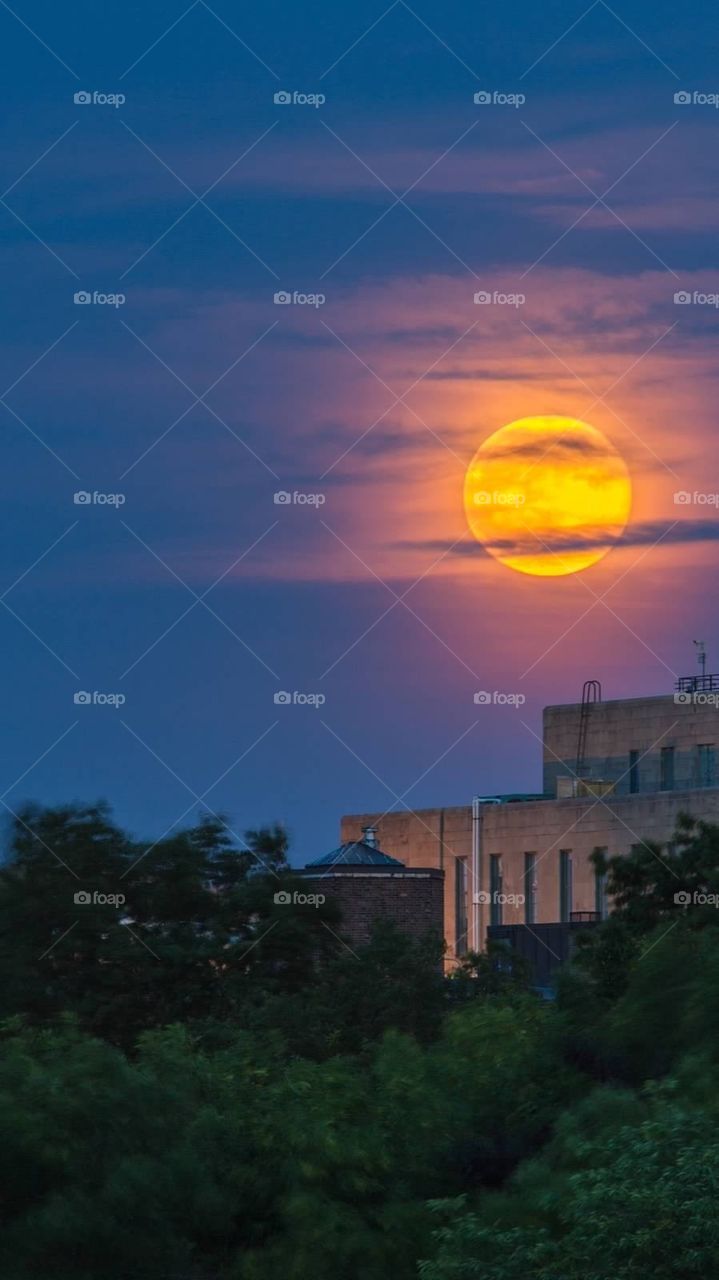 Full Moon rising