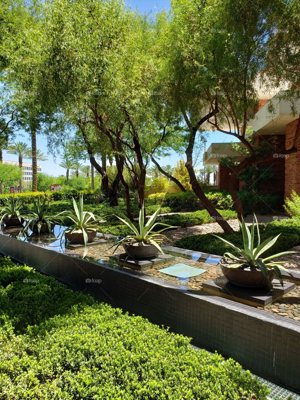 Lush plants, palm trees, foliage, waterfalls, fountains, at Red Rock Casino and Resort in bright, sunny, Las Vegas, Nevada, USA