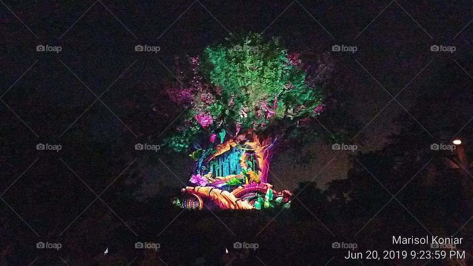 Disney Animal Kingdom Theme Park
Tree of Life