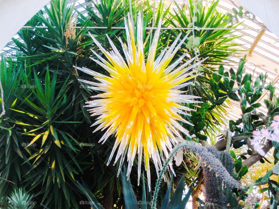 Yellow Chihuly glass